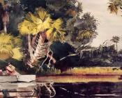 温斯洛 荷默 : Homosassa Jungle